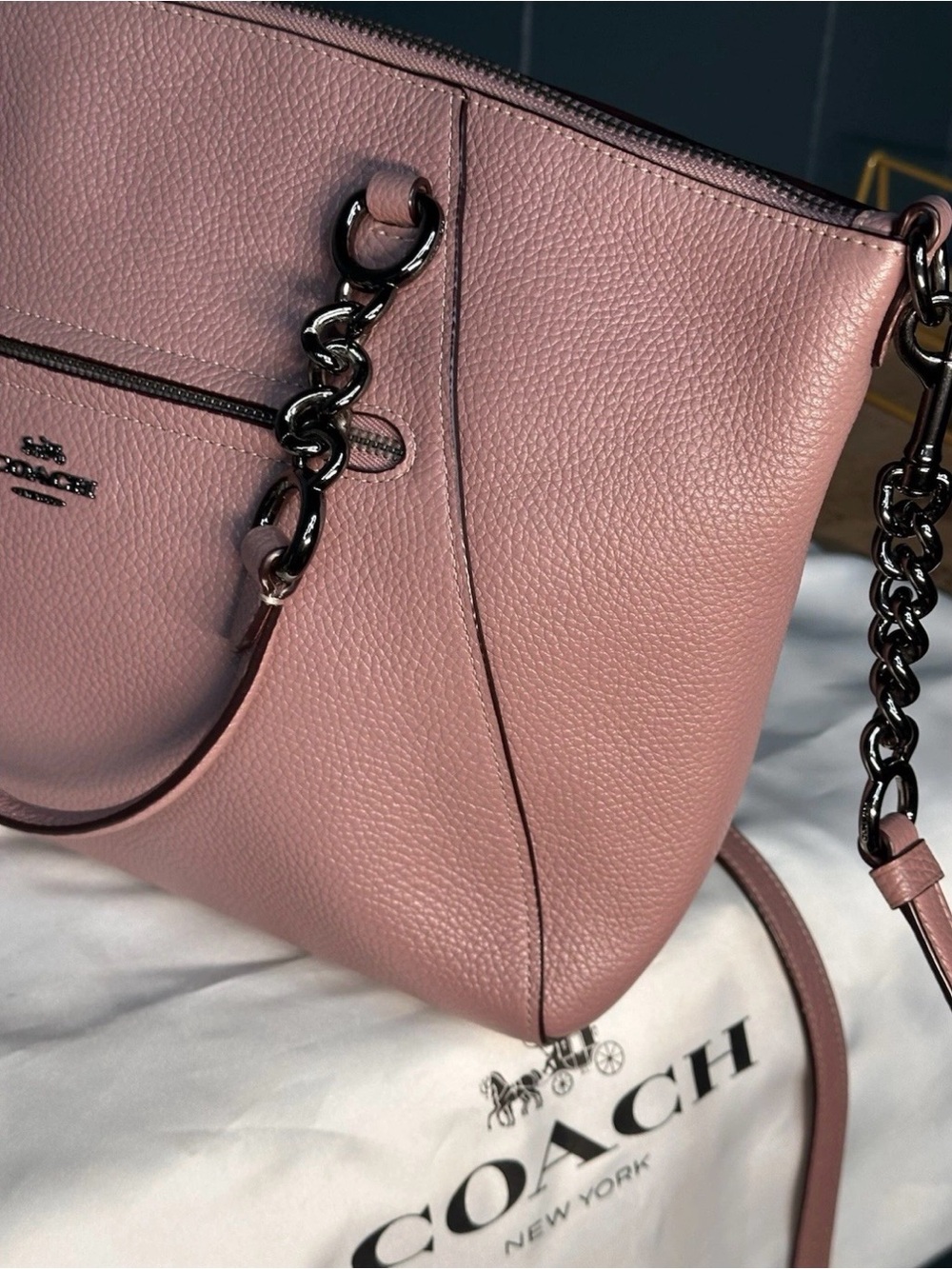 Coach Lexy 59501 Blush Pebbled Leather Chain Tote Crossbody Dust Bag EUC - Picture 9 of 10